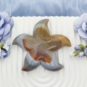 Druzy Agate Starfish Crystal Carving Blue Yellow Brown